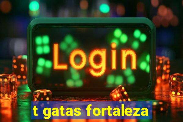 t gatas fortaleza